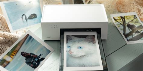 How to Print 4x6 Photos on HP Printer: A Comprehensive Guide and the Curious Case of Why Cats Love Paper Jam Sounds